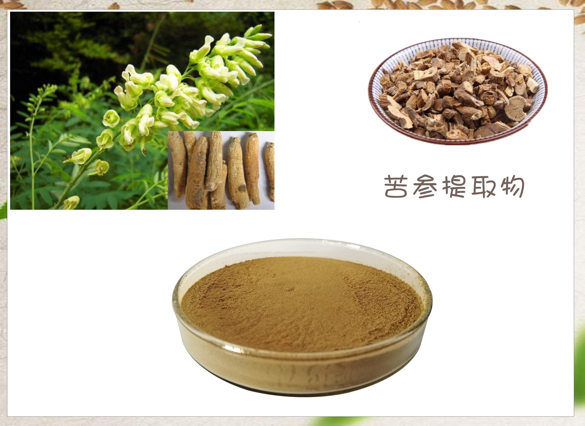 苦参提取物10:1 苦参提取液 苦参粉 苦参碱 支持 oem