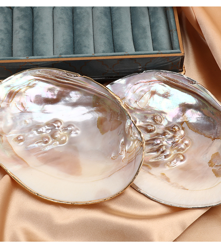 天然淡水珍珠河蚌贝壳鎏金摆件工艺品