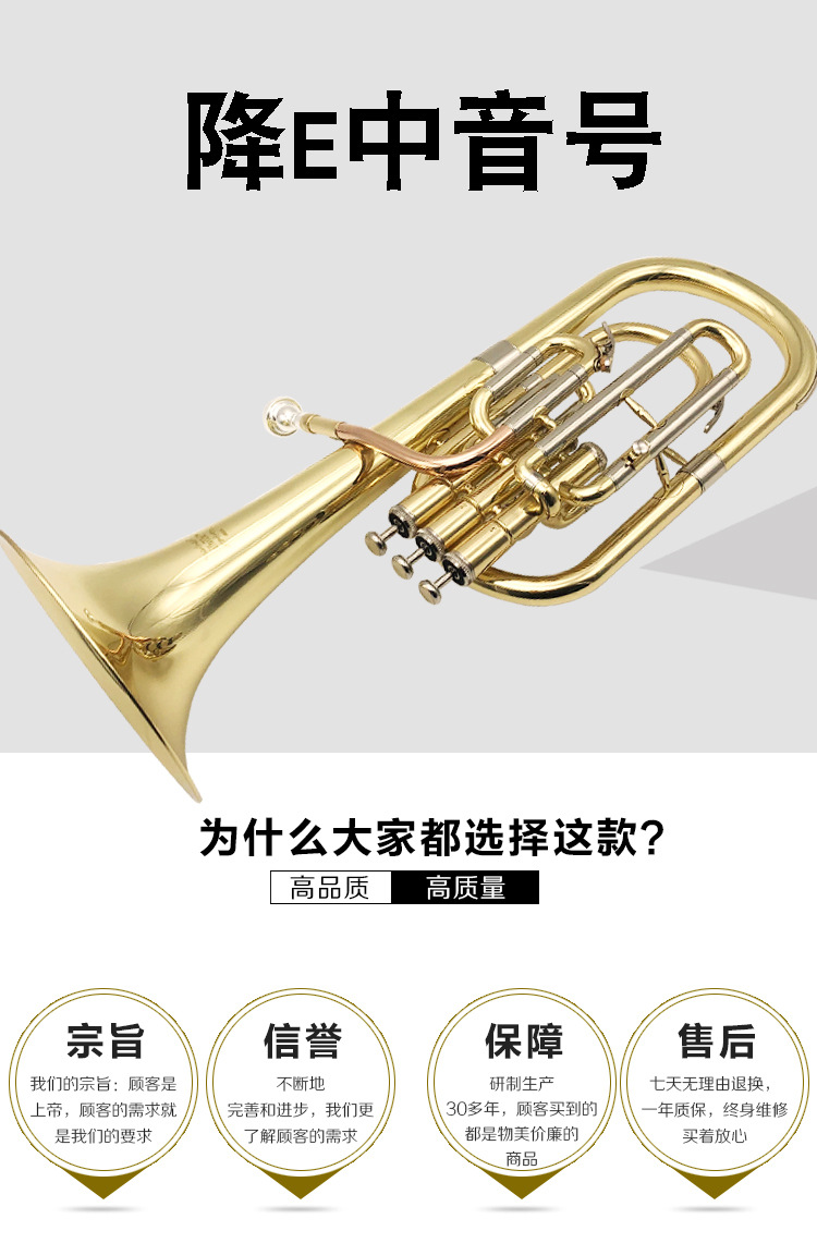 降e调名称:中音号商品描述是否跨境出口专供货源否适用场景音乐乐器