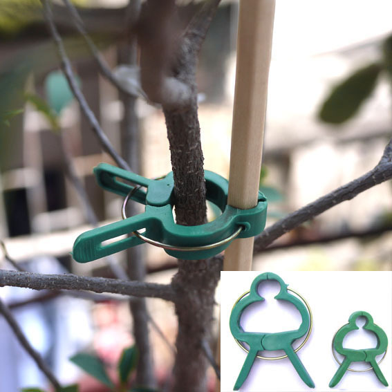 植物夹子蝴蝶兰支架固定夹子花架子燕子夹保护植物园艺夹