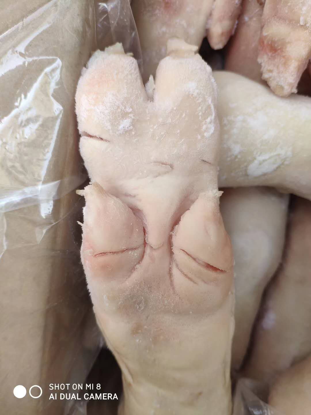 冻猪后蹄 去筋猪蹄 大小均匀 成色新鲜