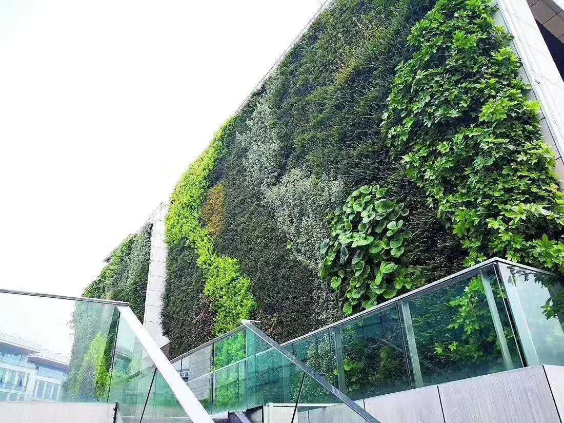 厂家专业设计生产 看房通道 酒店绿化大堂造景植物墙苔藓真植物墙