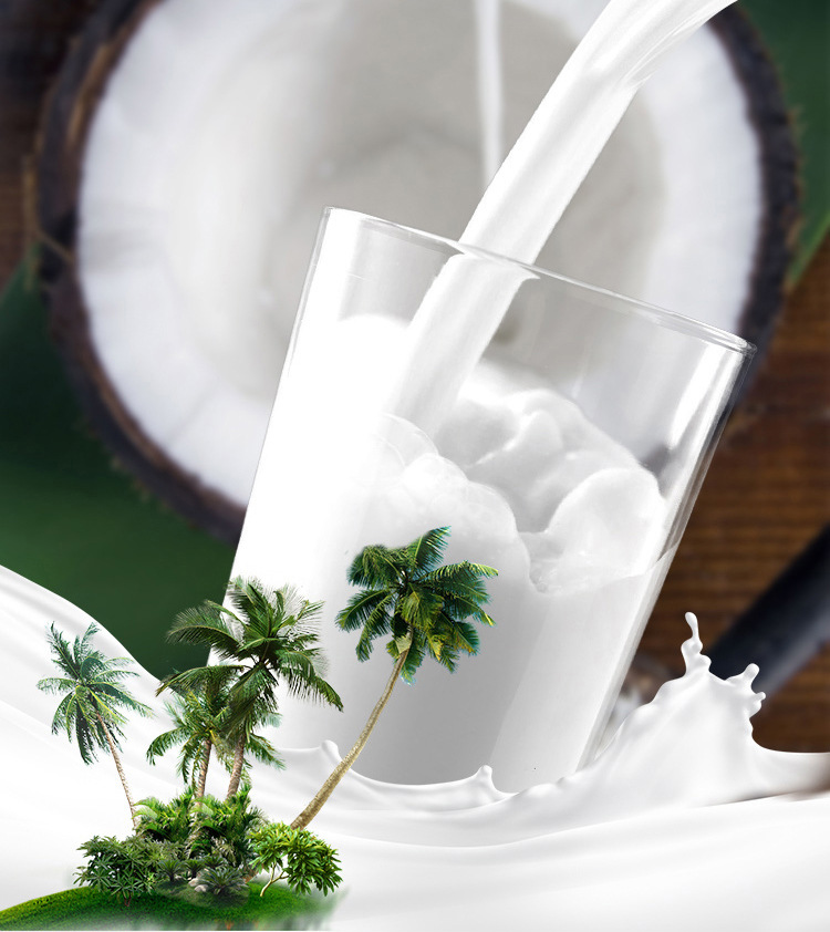 椰树牌 椰汁1l*12盒 整箱正宗海南椰子肉榨汁植物蛋白椰奶饮料