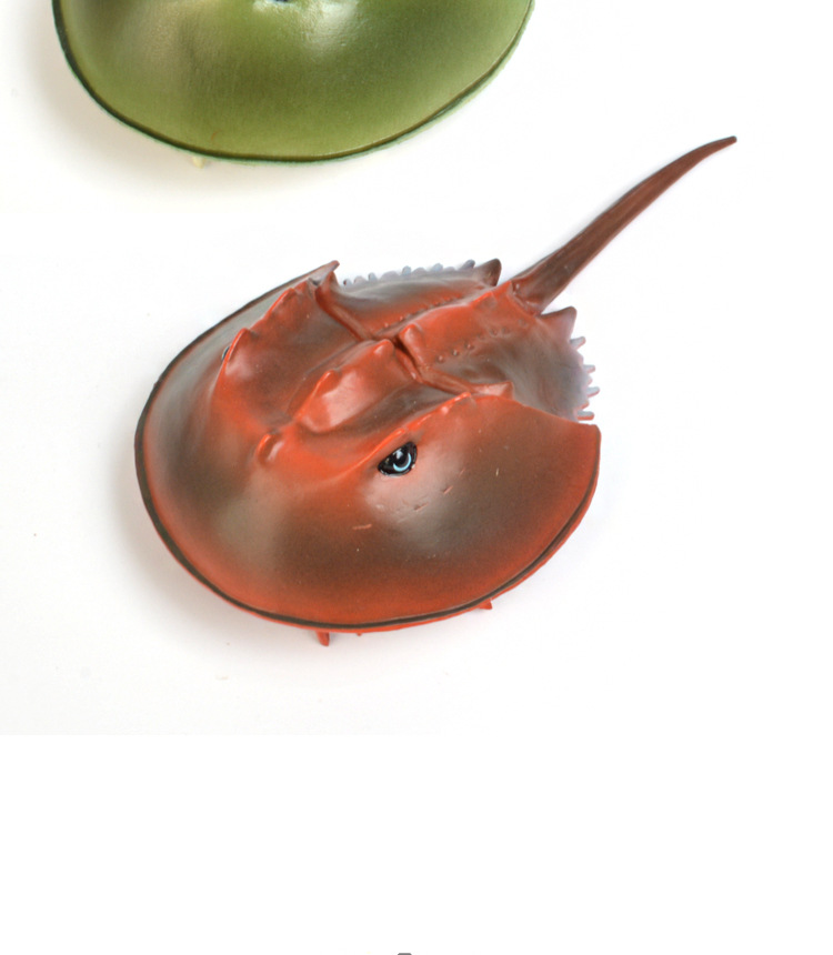 跨境仿真海洋动物模型螃蟹玩具 塑胶玩具实心动物玩具模型 鲎