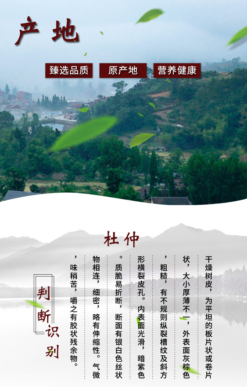 杜仲皮 老树杜仲厚皮湖南 杜仲茶杜仲可泡茶泡酒各种规格杜仲