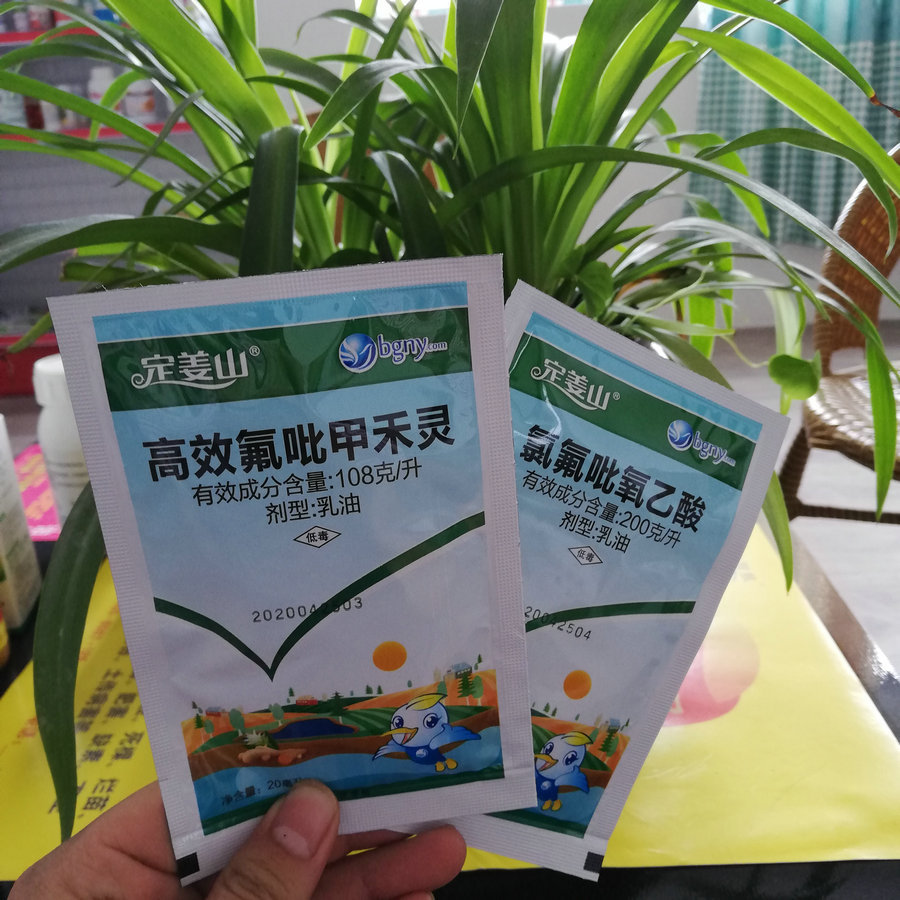 选择性除草剂生姜田苗后除草剂定姜山禾本科一年生阔叶杂草不伤姜