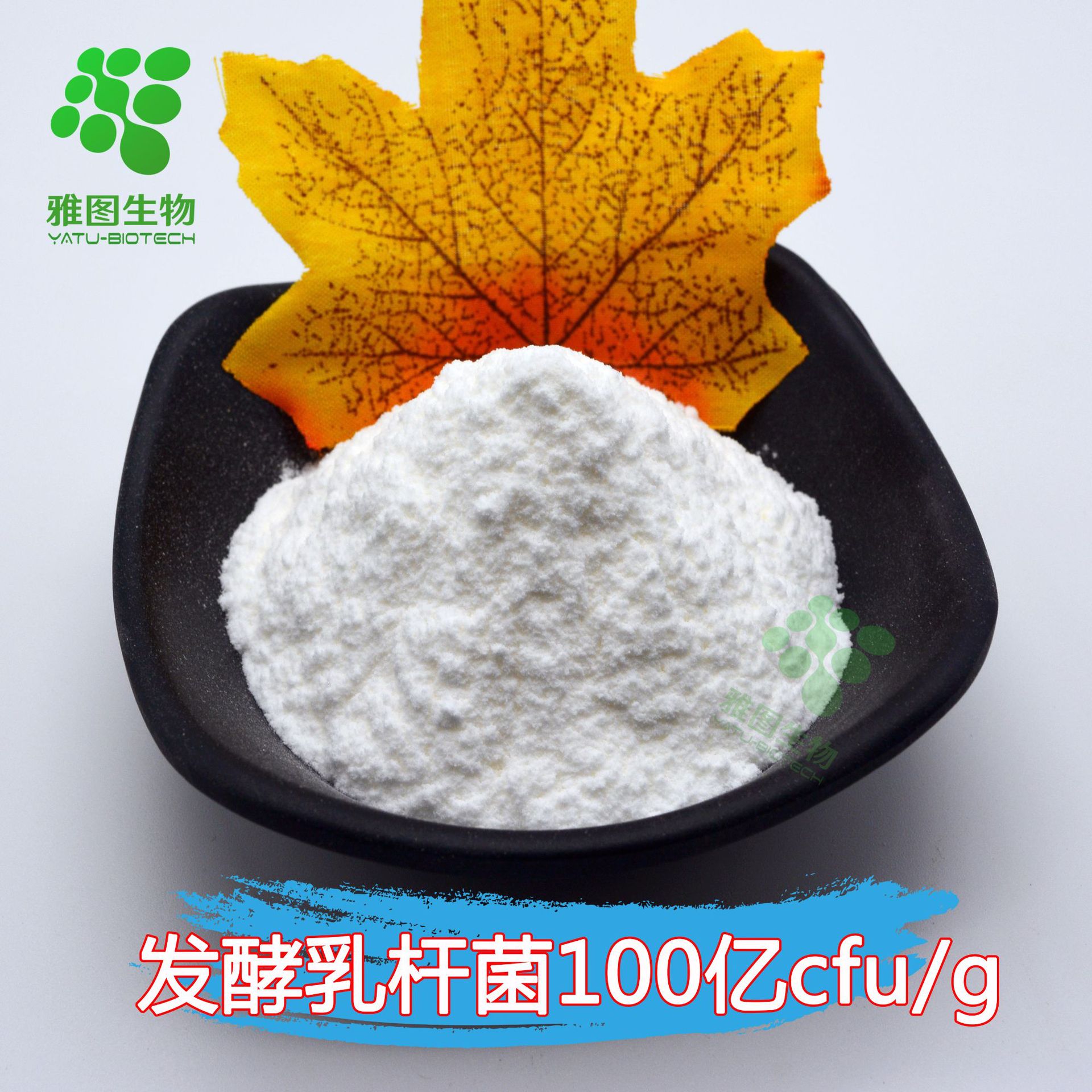 发酵乳杆菌100亿cfu/g 雅图生物 冻干型乳酸菌粉 高活性益生菌