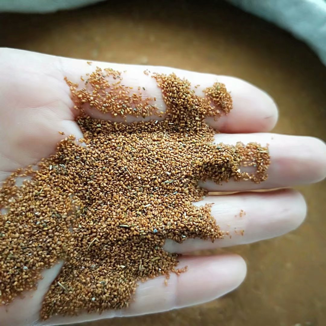 中药材葶苈子 每件500克