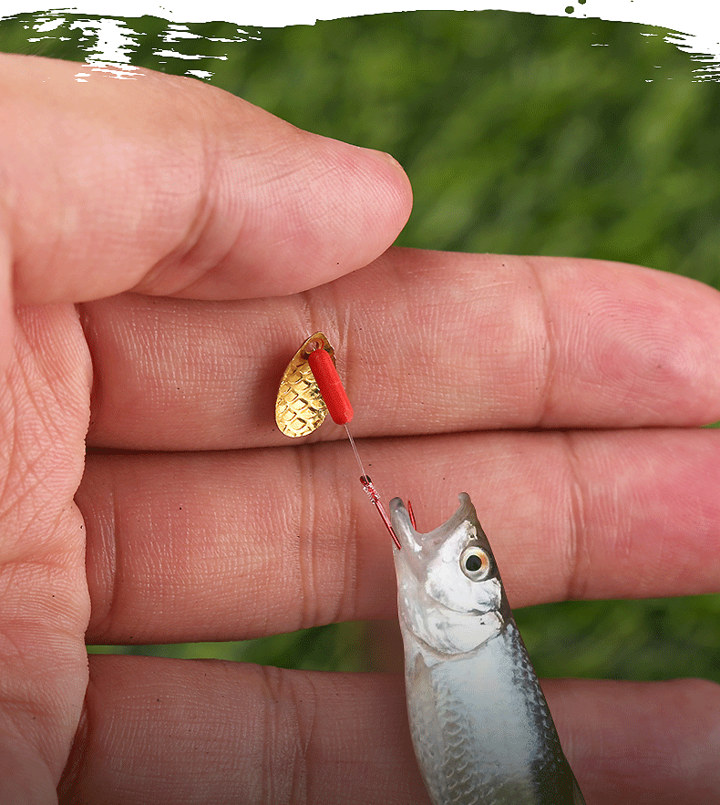 绑好成品瓜子亮片套装线组白条远投专马口翘嘴亮片路亚微物假饵