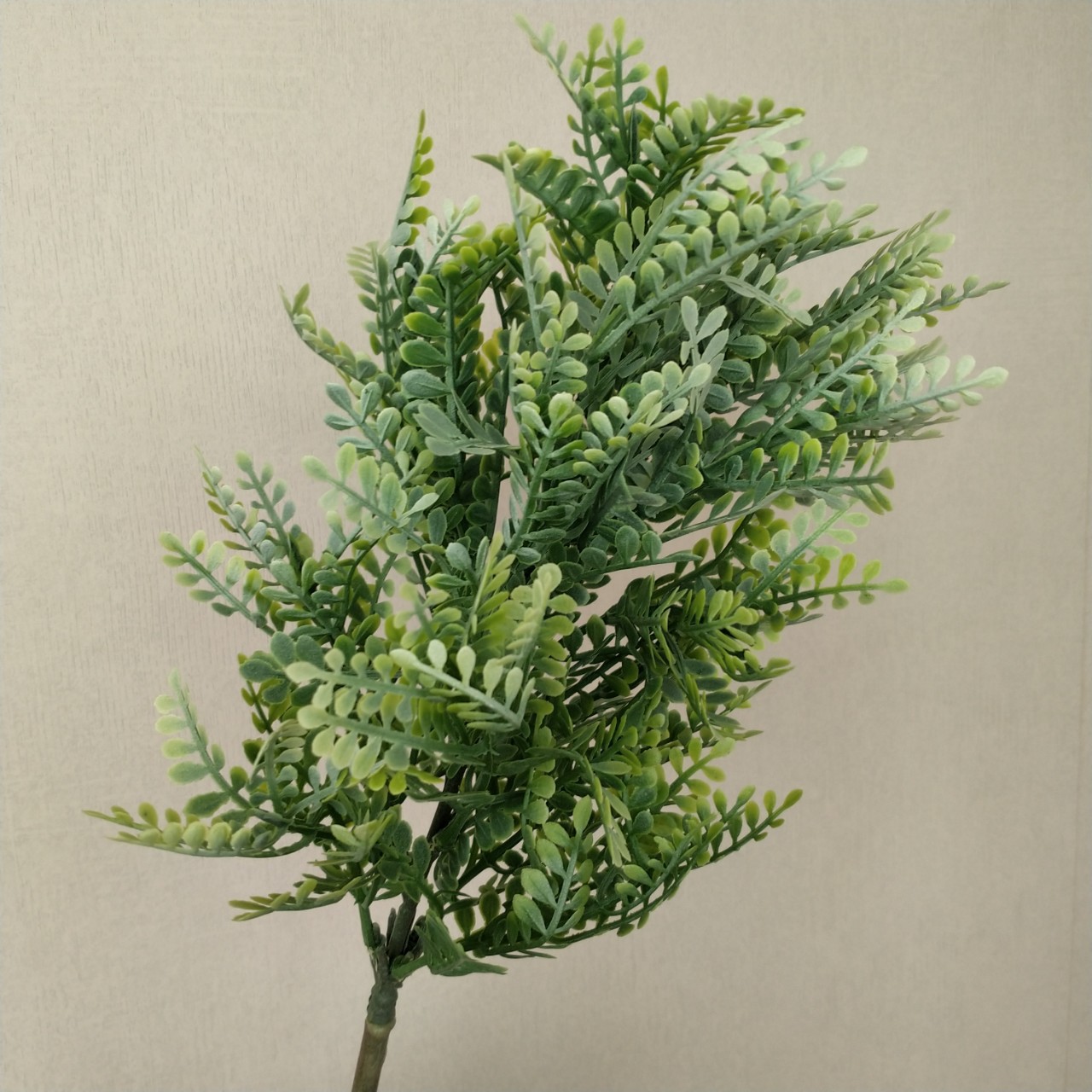 北欧仿真16头贝壳草厥叶 家居样板间会所插花装饰 婚庆拍照道具