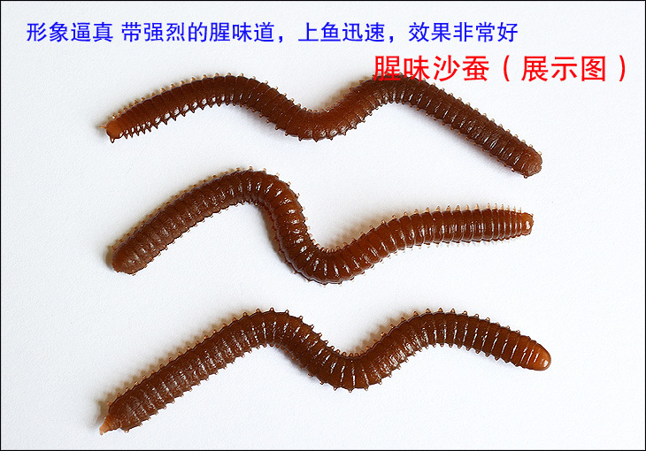 20g腥味盒子鱼饵沙蚕海蚯蚓面包虫腥香玉米粒钓饵