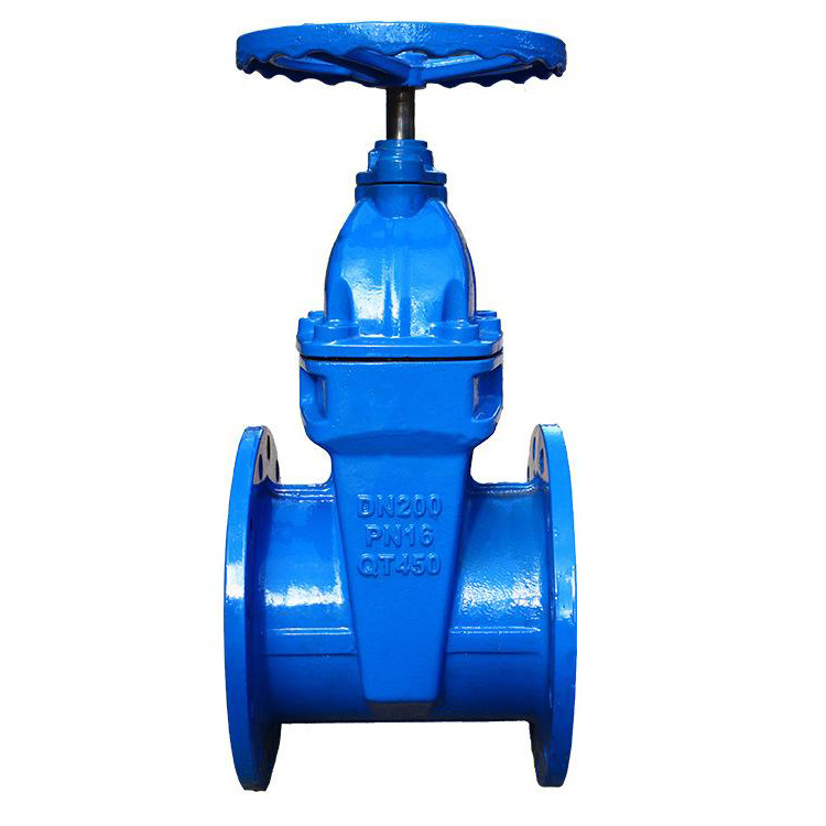 fz45t-16q球墨铸铁法兰防护闸阀