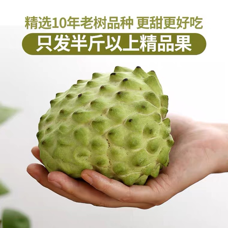 泰国大目释迦果进口佛头果释迦牟尼果番荔枝当季新鲜水果一件代发