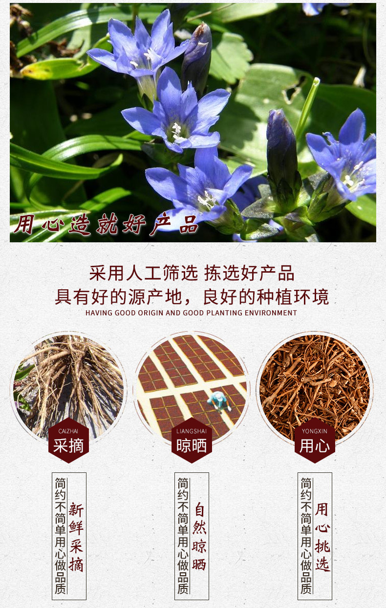 龙胆草龙胆苦胆草胆草供应大货质量保障