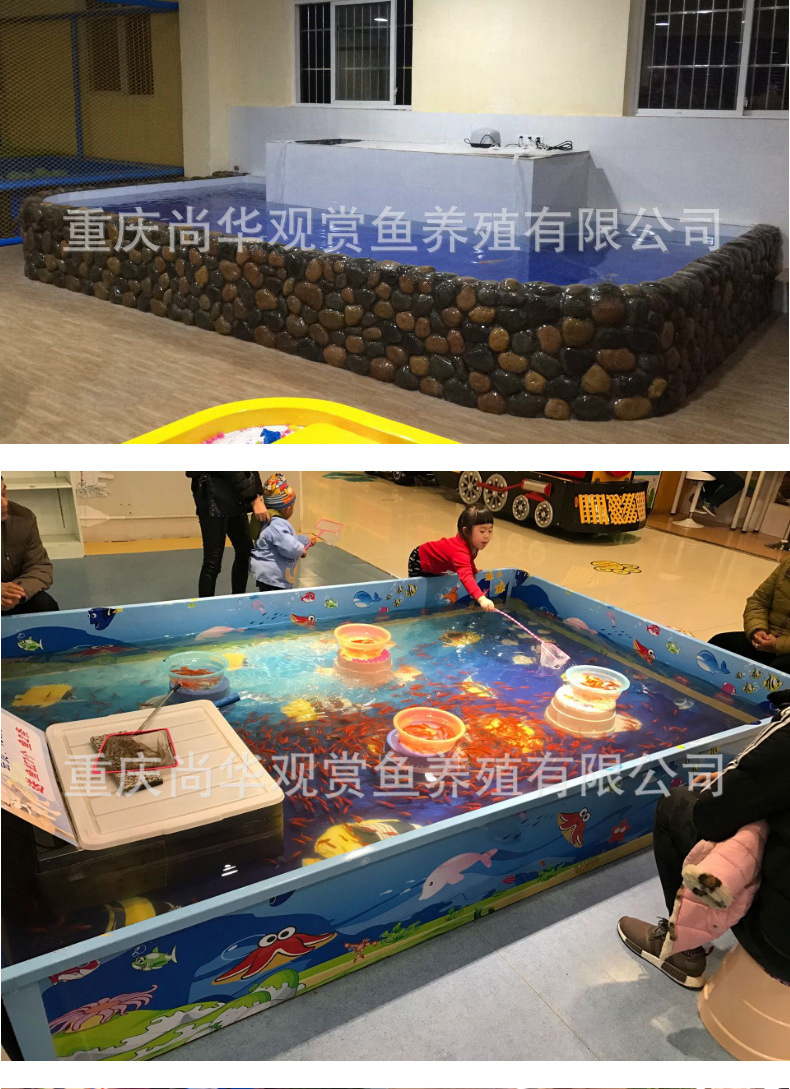 吃奶鱼 奶瓶喂鱼 奶嘴鱼免费加盟 全国发货 喂奶鱼包活 不吃包退