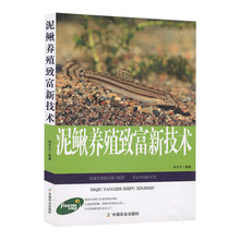 泥鳅养殖致富新技术池塘网箱稻田泥鳅养殖技术泥鳅病虫害防治书籍