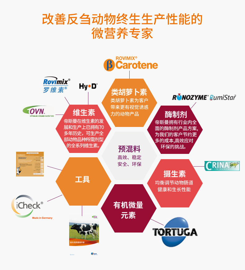 帝斯曼 dsm 反刍动物 奶牛肉牛 预混料 微量元素微营养 解决方案