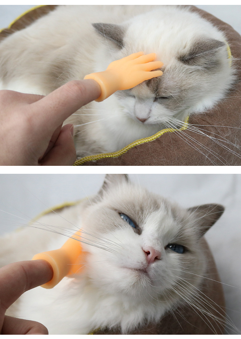 抖音同款撸猫指套趣味逗猫小指套撸猫小手套人宠互动玩具厂家批发