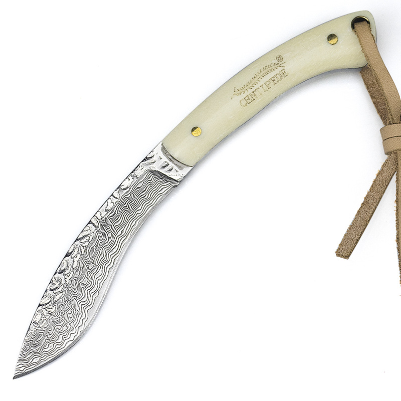 大马士革刀具高硬度金丝牛角收藏刀野外求生军刀直刀户外小刀d101