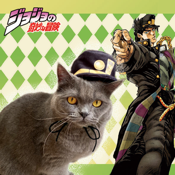 jojo奇妙冒险空条承太郎宠物用品周边猫咪帽子头套小型犬头饰装扮