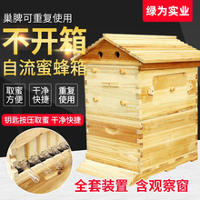 自流蜜蜂箱全套升级款自流蜜巢脾蜂巢中蜂蜂箱全自动自动流蜜蜂箱