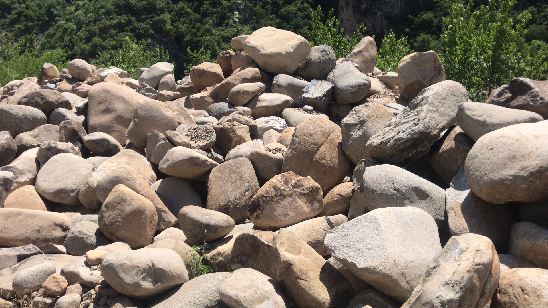 河卵石 公园风景石 河岸湖边风景石 雄安新区用 造景石头庭院装饰