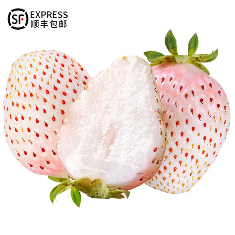 4斤起顺丰 净重白草莓淡雪白色恋人新鲜牛奶大草梅白雪公主水果