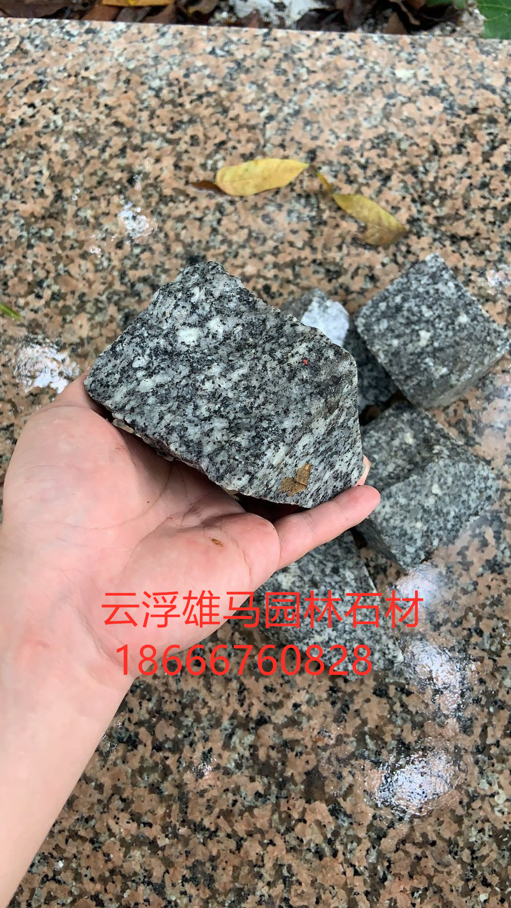 花岗岩碎石 白麻砾石 黑色砾石 黑白点砾石 瓜子石 黄金麻砾石
