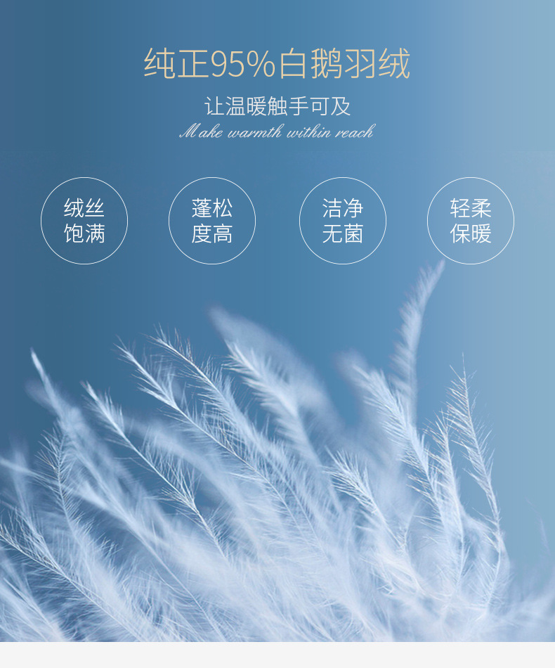 一手货源鹅绒被 95%羽绒被加厚冬被子全棉匈牙利吊吊白鹅绒春秋被