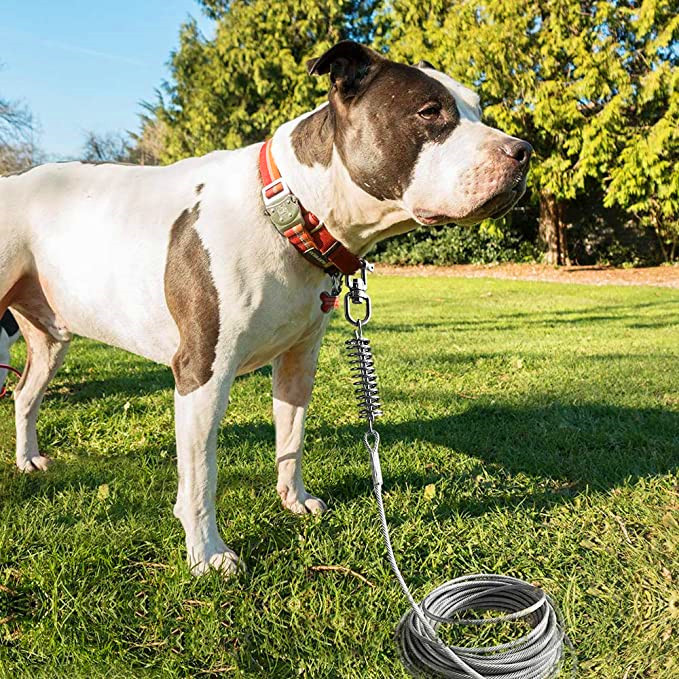 户外栓狗桩地钉野餐时栓狗地栓野营宠物地钉钢丝绳拴狗野外狗链子