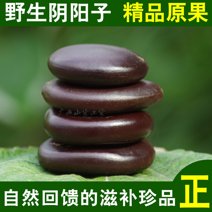 广西野生阴阳子250g肾果过江龙子木腰子泡酒料肾树宝中药材榼藤子