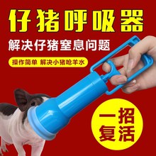 猪用呼吸器鼻腔羊水抽子母猪助产设备小猪呼吸机辅助仔猪呼吸