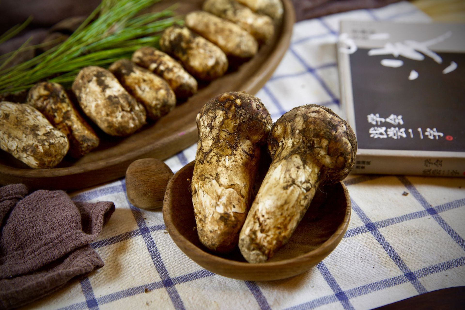 新鲜松茸产地直发雅江松茸小金松茸大货航空一件代发顺丰冷链速配