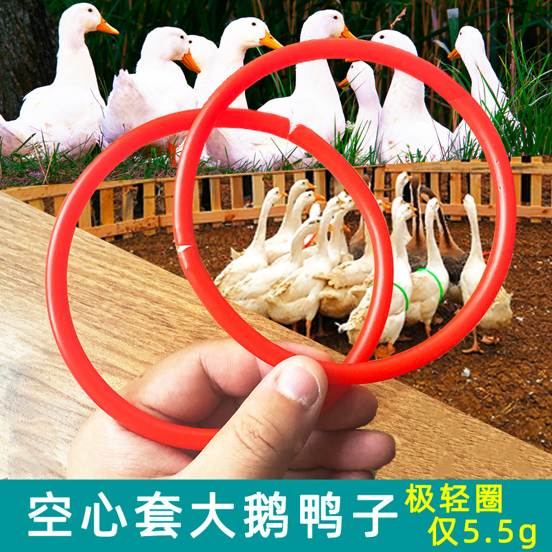 专业套大鹅空心圈网红套鸭子抖音火爆游戏可以调节大小定制套圈圈