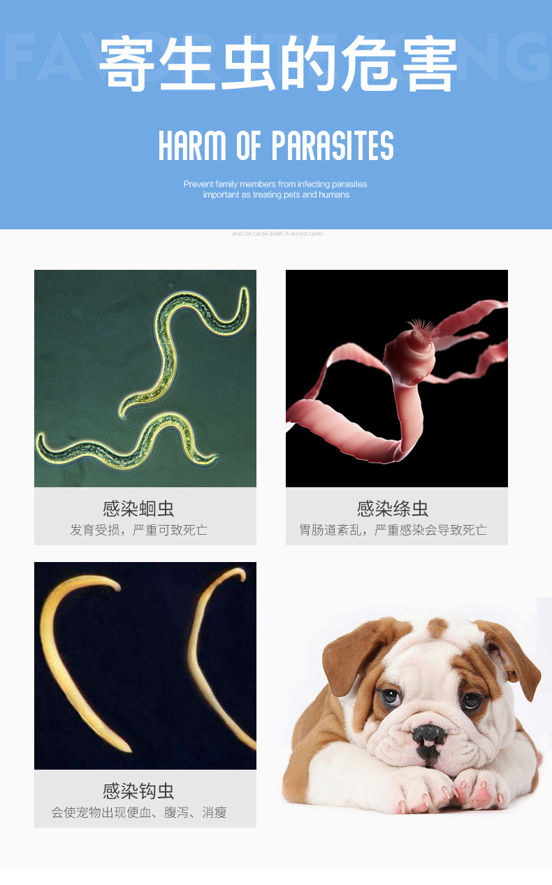 狗狗体外驱虫药内犬用虫片滴剂515kg中小型犬外用去除跳蚤蜱虫