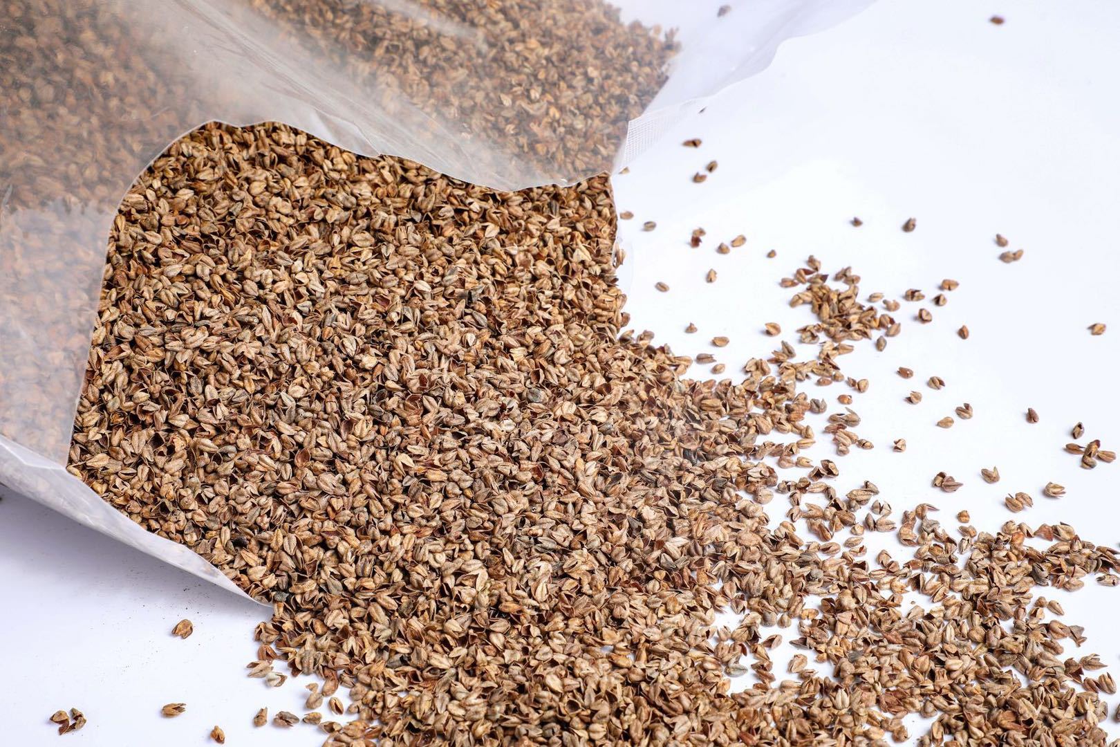 00元 品名         其他       主要原料         苦荞壳       品牌