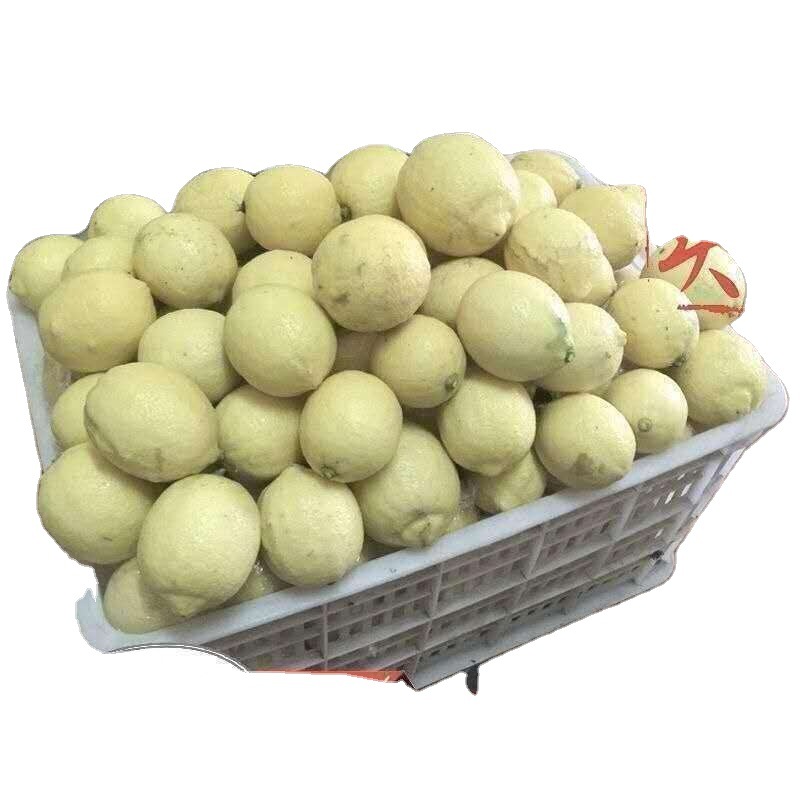 5斤包邮安岳特产现摘精选黄柠檬丑果-天然饮酵素水果美容新鲜