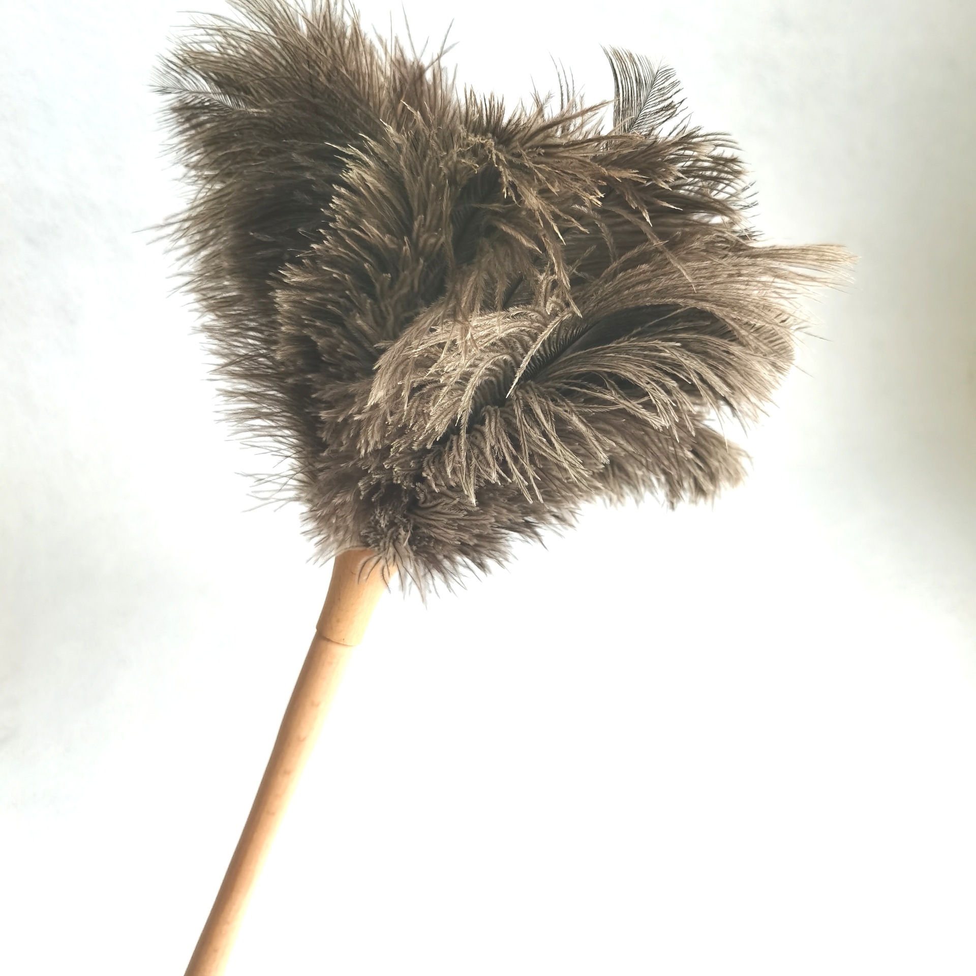 防静电鸡毛掸子 高质量鸵鸟毛羽毛掸实木手柄精品鸡毛扫