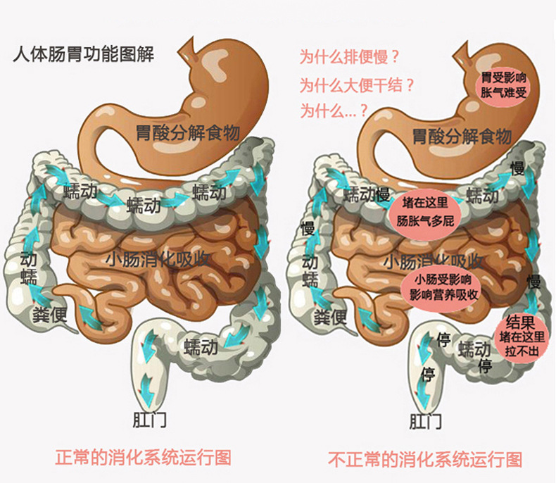 腹部按摩器震动加热理疗仪瘦身减肥揉肚子暖宫暖胃生理期腰腹部