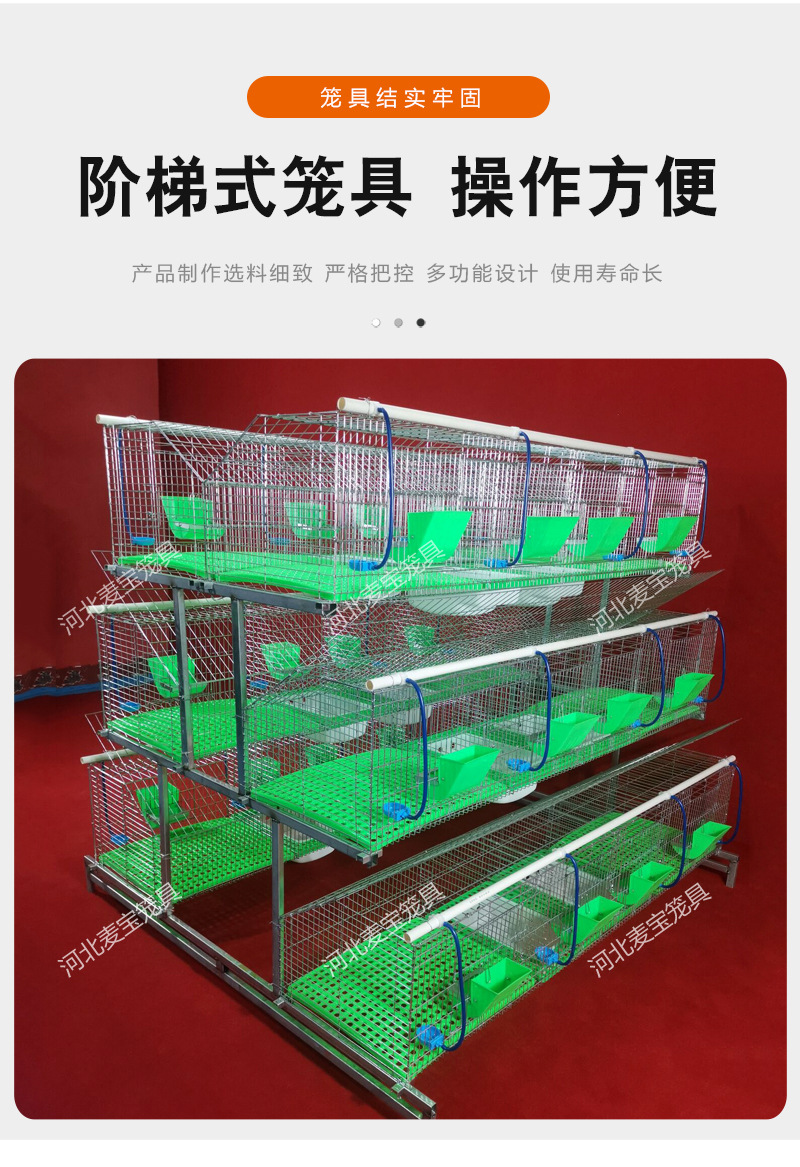 定制养殖兔笼 兔子繁育笼具18位阶梯子母兔笼热镀锌丝加粗商品笼