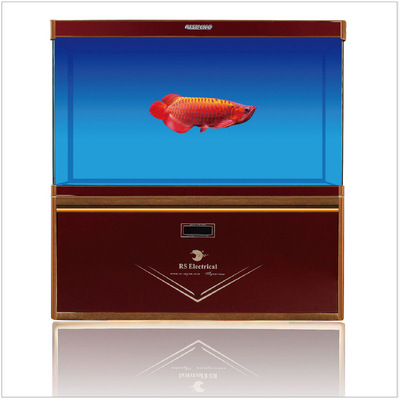 日胜高清玻璃龙鱼底滤缸客厅办公室免换水鱼缸水族箱