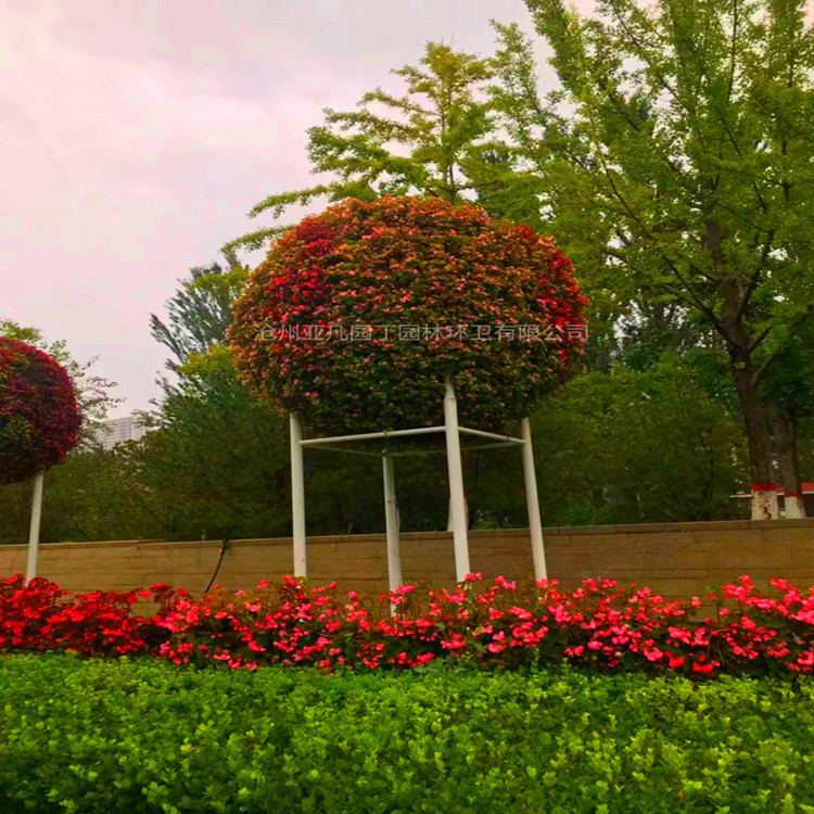 金属花柱,园艺金属花柱 花圃花柱 厂家销售
