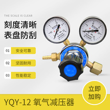 YQY-12氧气表减压器2.5*25mpa全铜本体调节阀钢瓶 上海天川仪表厂