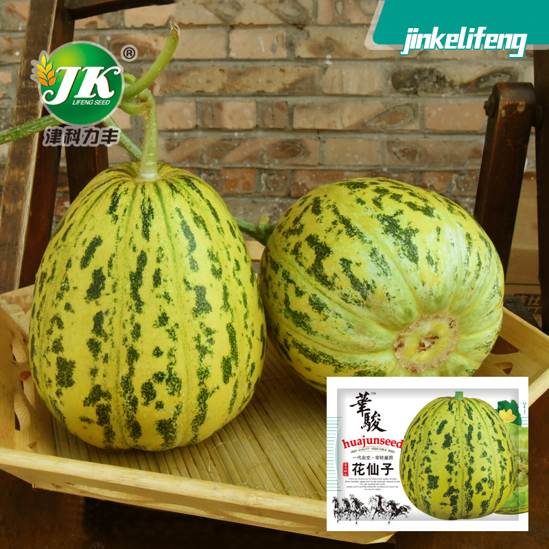 八里香甜瓜种子