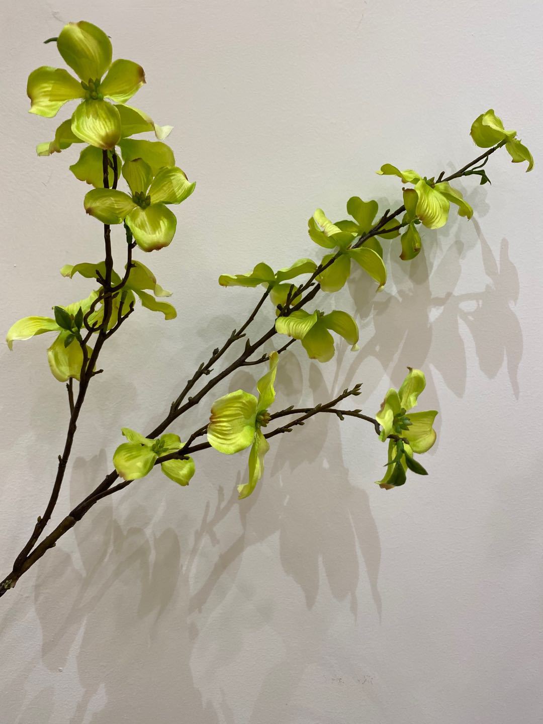 枸木花厂家直销仿真植物仿真花现代家居装饰花艺摆设玄关客厅假花