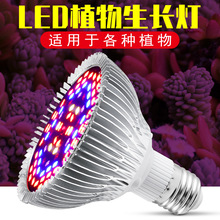 跨境led植物生长灯5730贴片30W50W80W宽压铝材散热全光谱植物灯