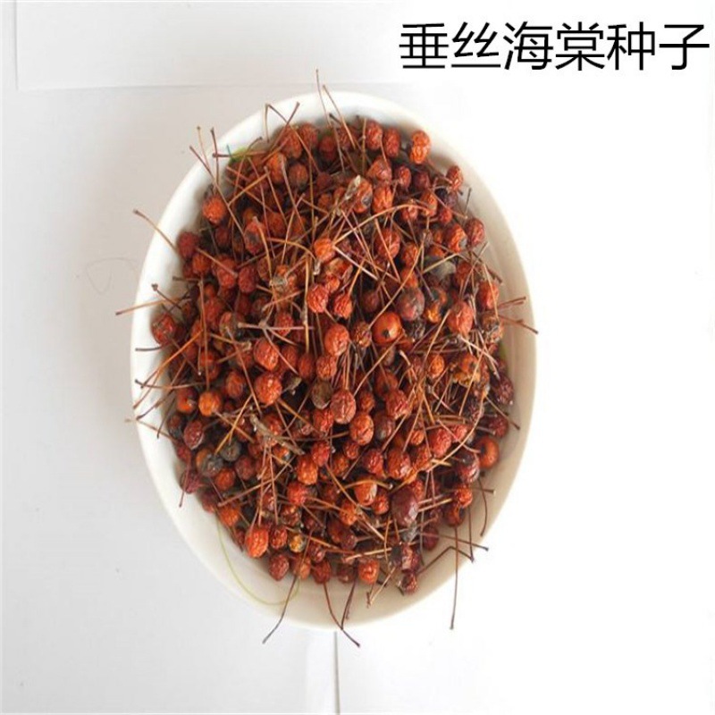 0成交0件长寿冠海棠花苗盆栽盆景老桩室内外观花绿植物庭院阳台四季好