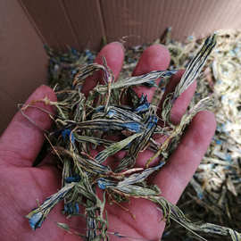 500克 天然 晒干花草 龙胆花干花  干龙胆花