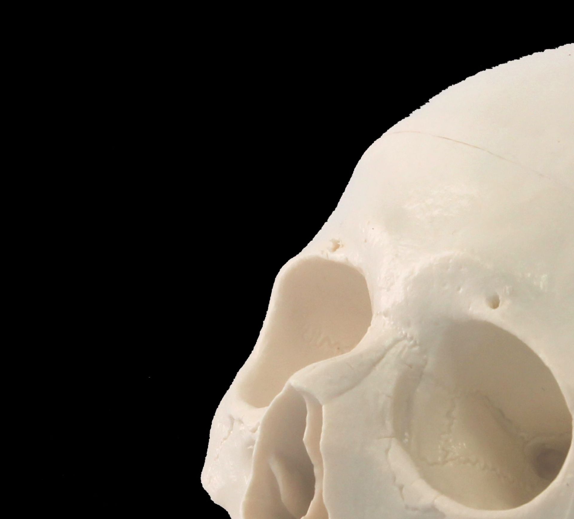 亚洲版医用真人大小人体头骨模型骷髅头模型骨骼模型骨架模型