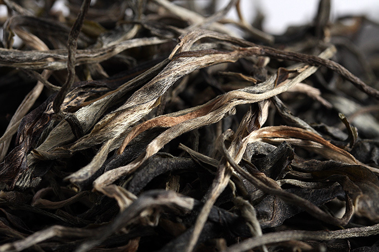 批发云南普洱茶 布朗山乔木普洱生茶 大叶种散茶 厂家直销